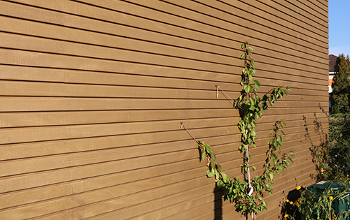 Façade en bois avec traitement couvrant après 6 ans